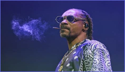 Is Snoop Dogg A Criminal? Uncovering The Truth Behind The Legend